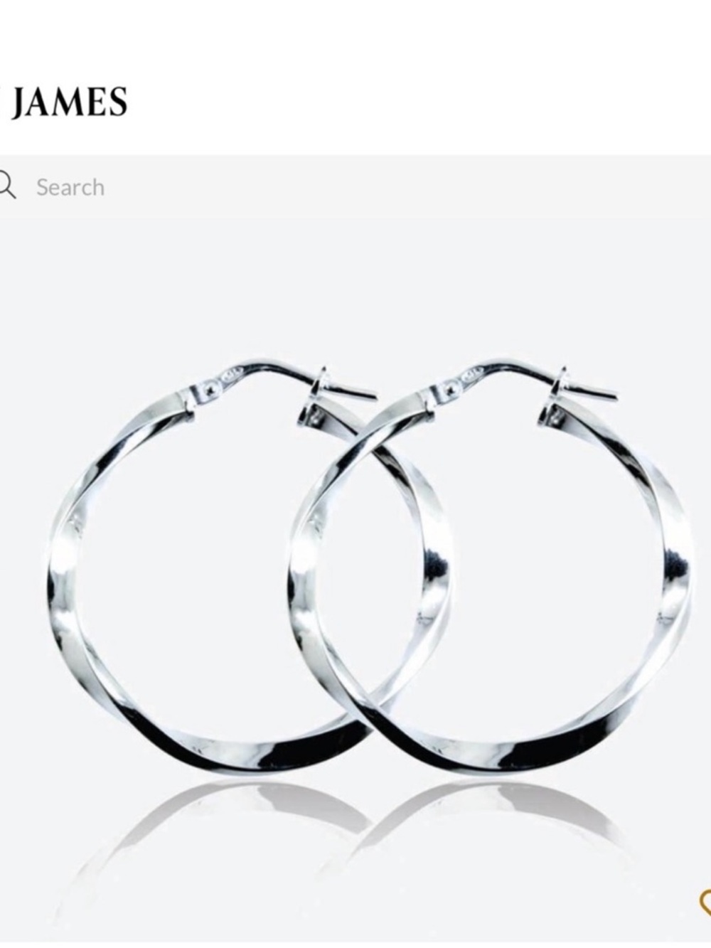 Silver Twist Hoop Earrings 30mm NIB